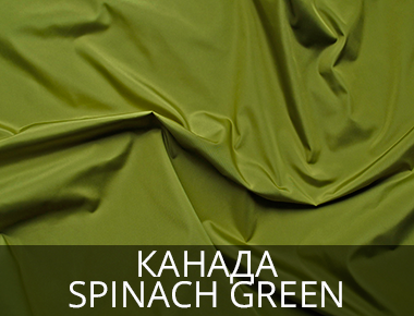 Плащевка Канада Spinach Green Купить ткань для кресла мешка оливкового цвета