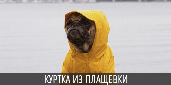 Куртка из плащевки для домашнего любимца